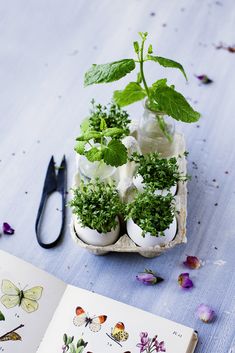 an open book sitting on top of a table next to scissors and plants in vases