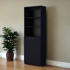 a tall black bookcase next to a potted plant on the floor in an empty room