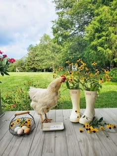 a chicken standing on top of a wooden deck next to boots and flowers in the grass