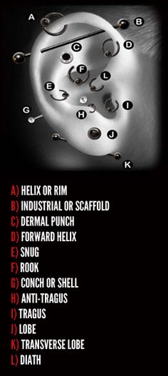 a poster with the names of different types of screws