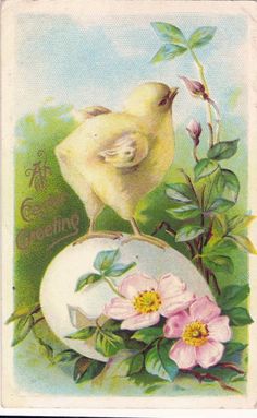 an easter card with two yellow birds on top of a white egg and pink flowers