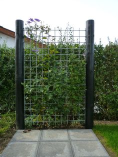 an outdoor garden with plants growing on the side of it and two black poles sticking out of the ground