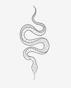 a black and white drawing of a snake