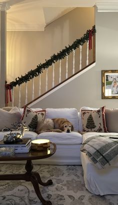 a dog laying on top of a white couch in a living room next to a stair case