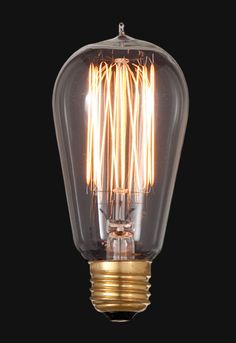 Vintage Style Squirrel Cage Bulb Steampunk Bathroom, Squirrel Cage, Alternative Housing, Edison Light, Filament Bulb Lighting, Antique Lamp, Vintage Lamp, Antique Lamps, Lamp Parts