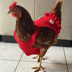 a brown chicken wearing a red sweater and standing on tiled floor next to a wall