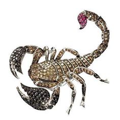 Scorpion Brooch, Stephen Webster Jewelry, Scorpio Jewelry, Gold Couture, Brown Diamonds, Stephen Webster, Insect Jewelry, Black Sapphire, Brown Diamond