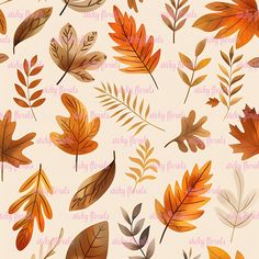 an image of autumn leaves on a white background with pink and orange texturals