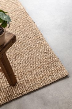 a small potted plant sitting on top of a wooden bench next to a rug