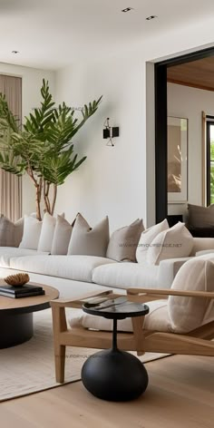 a living room filled with furniture and a potted plant in the middle of the room