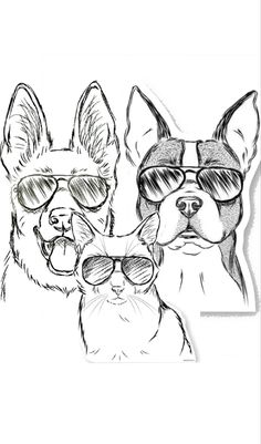 two dogs with sunglasses on their heads and one dog wearing glasses in front of them