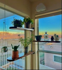 some plants are sitting on shelves in front of a window overlooking the desert and mountains