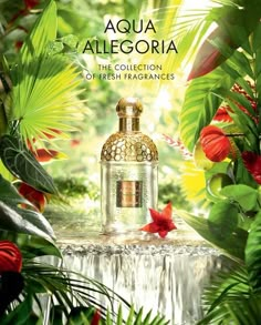 the perfume bottle is surrounded by tropical plants and red poinsettia flowers in front of it