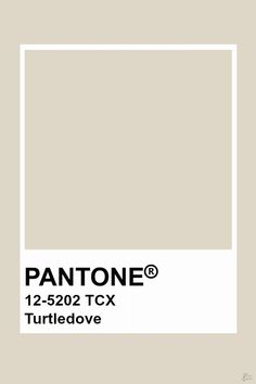 pantone's 12 - 522 tcx turtle dove