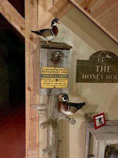 three birds sitting on top of a wooden birdhouse next to a sign that says the honey hole