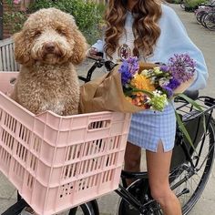 a woman standing next to a dog in a pink basket on a bicycle with flowers