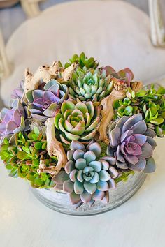 there are many different succulents in the bowl