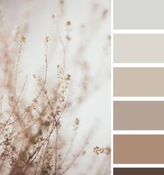 the color scheme is neutral, and it looks like some kind of plant