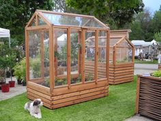 a dog laying on the grass in front of some wooden greenhouses with plants growing inside