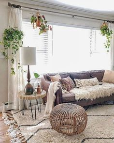 a living room filled with furniture and lots of plants on the windows sills