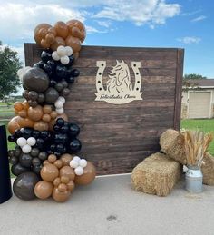 balloons and hay are arranged in the shape of a horse on top of a wooden sign