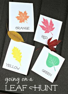 four leaf cards with the words going on a leaf hunt