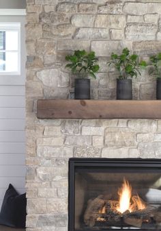 a stone fireplace with potted plants on the mantle