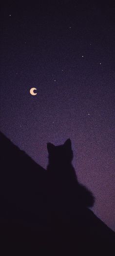 a black cat sitting on top of a hill under a night sky with the moon in the distance