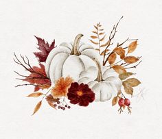 a watercolor painting of white pumpkins and autumn leaves on a white paper background