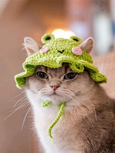 a cat wearing a crocheted frog hat