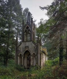 an old church in the middle of a forest