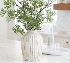 a white vase filled with green leaves on top of a counter next to a plate