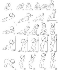 the baby's position and positions for each child to sit on their stomachs