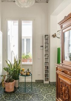 a living room filled with furniture and a potted plant