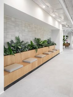 an office lobby with plants on the wall and benches in front of it's windows