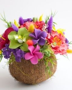 an arrangement of colorful flowers in a coconut shell vase on a white background with space for text