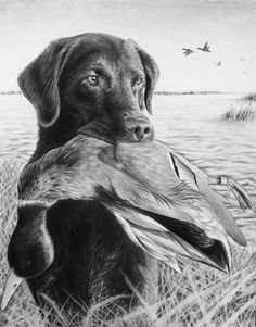 a drawing of a dog holding a duck in its mouth and looking at the camera