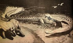 an image of two alligators in the water with birds flying around them and one crocodile is laying on its back