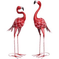 two pink flamingos standing next to each other on a white background with one facing the camera