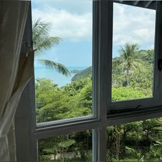 there is a view out the window of a tropical setting with palm trees and ocean in the distance