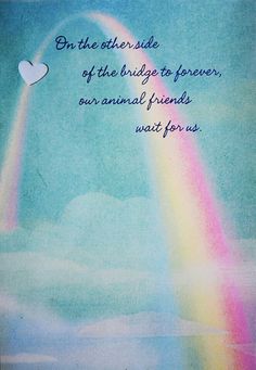 a painting with a rainbow and a heart on it that says, on the other side of the bridge to forever our animal friends wait for us