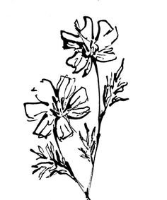 a black and white drawing of some flowers