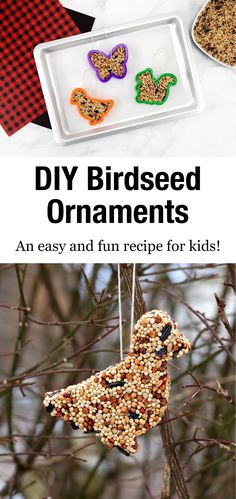 birdseed ornaments hanging from a tree with text overlay that reads diy bird seed ornaments an easy and fun recipe for kids