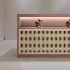 two potted plants sitting on top of a pink shelf in front of a white wall