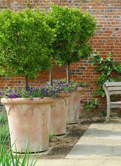 two large planters with purple flowers in them next to a bench and brick wall