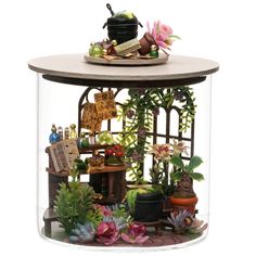 a glass case filled with plants and potted plants on top of a wooden table