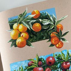 two paintings of oranges hanging on a tree with leaves and fruit in the foreground