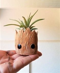 a hand holding a small planter with eyes on it's face and an air plant in the middle