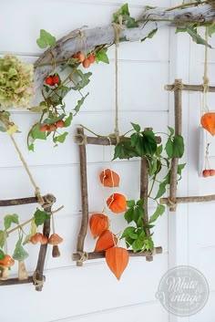 an assortment of plants hanging from branches on a white wall next to a wooden frame