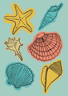 four different colored seashells on a blue background